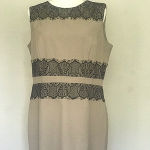 Phase 7 sleeveless lace accent dress Size 12